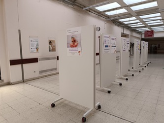 expo dor1