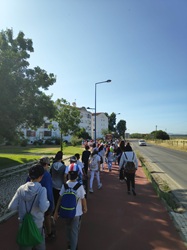 festa flor caminhada4