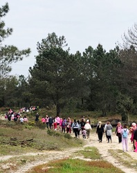 caminhada senologia3