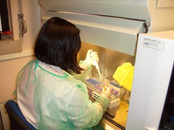 laboratorio 2